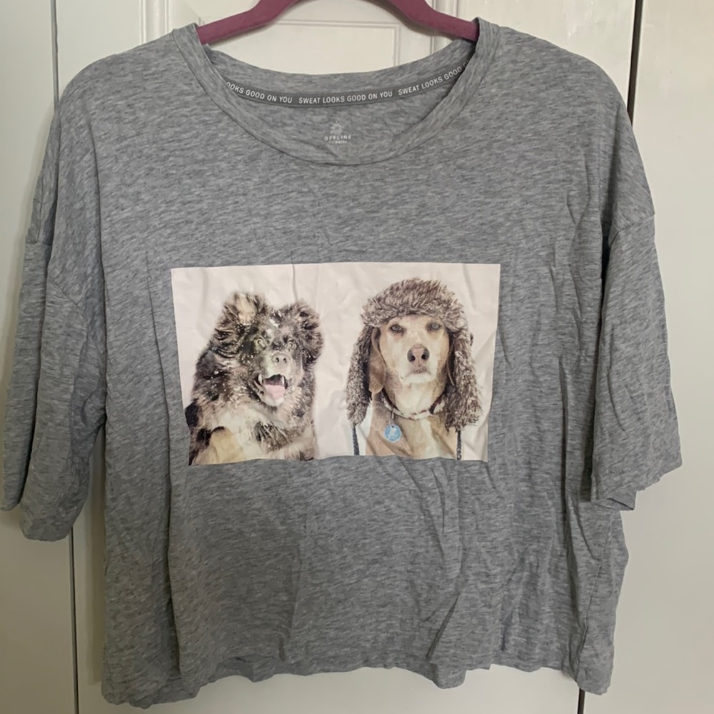 NWOT aerie cropped tee